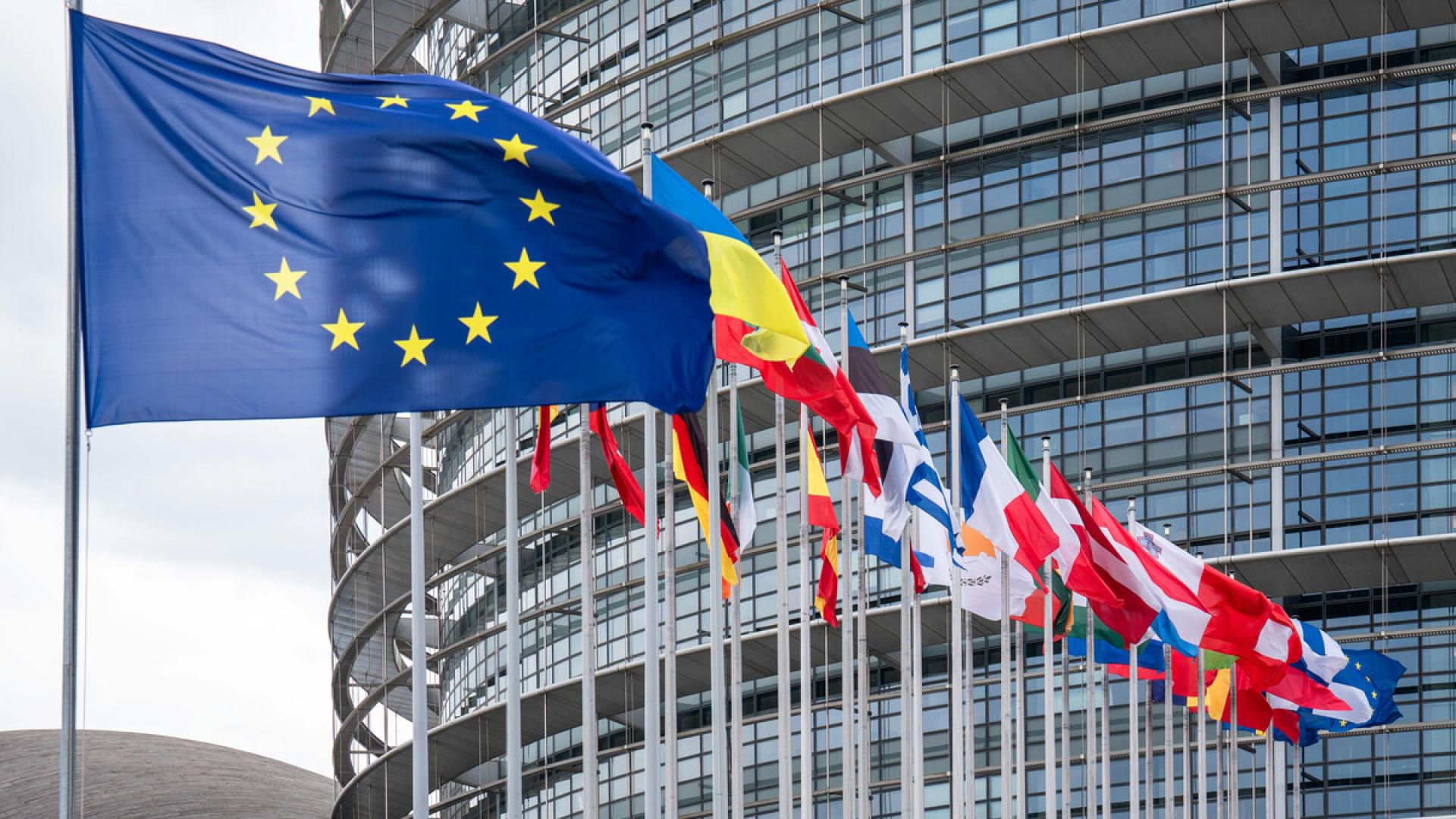 Offener Brief an die EU