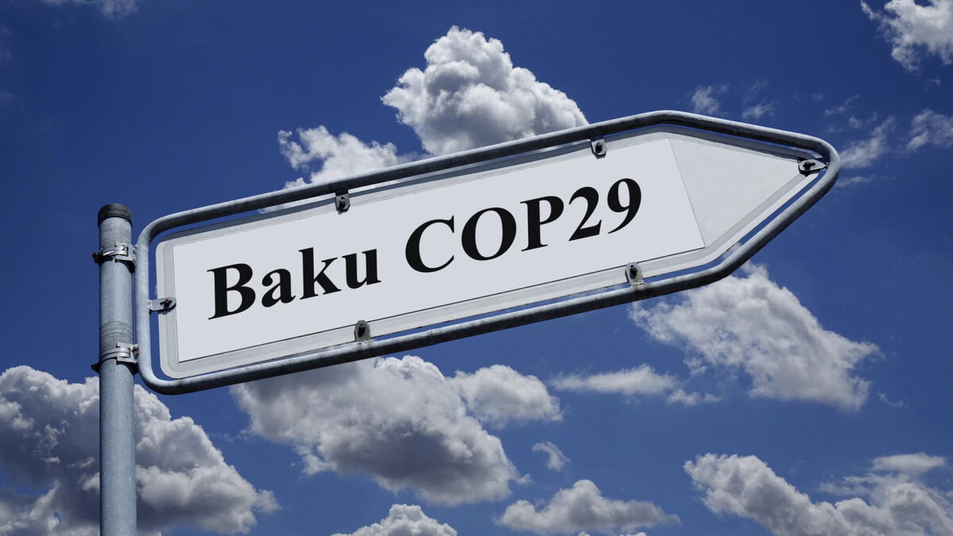 COP29: Aserbaidschan soll Journalisten freilassen