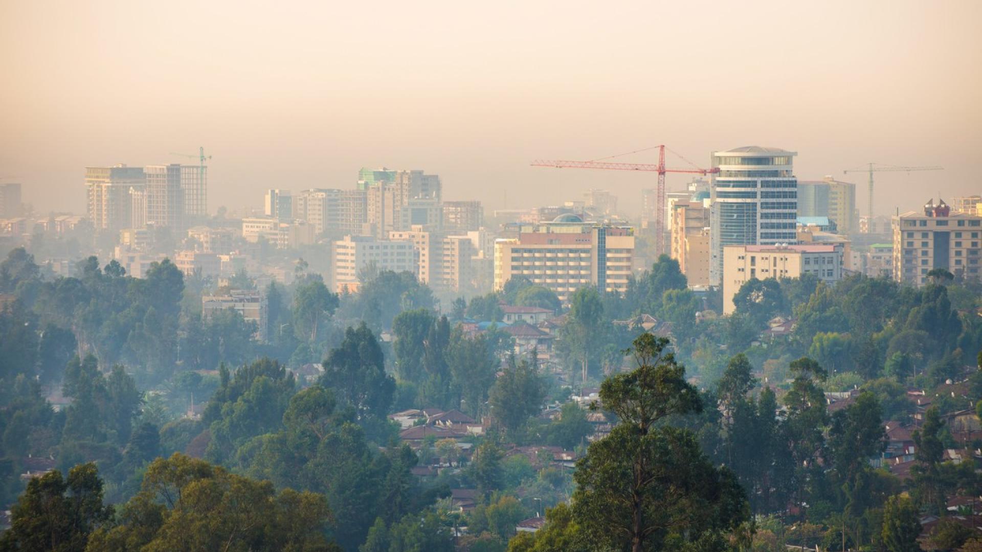 #FreeThemAll: Fekadu Mahtemework