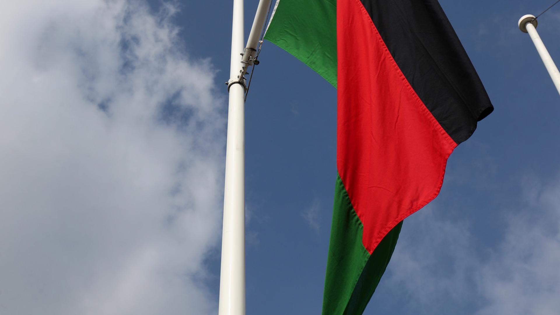 #FreeThemAll: Golden Matonga