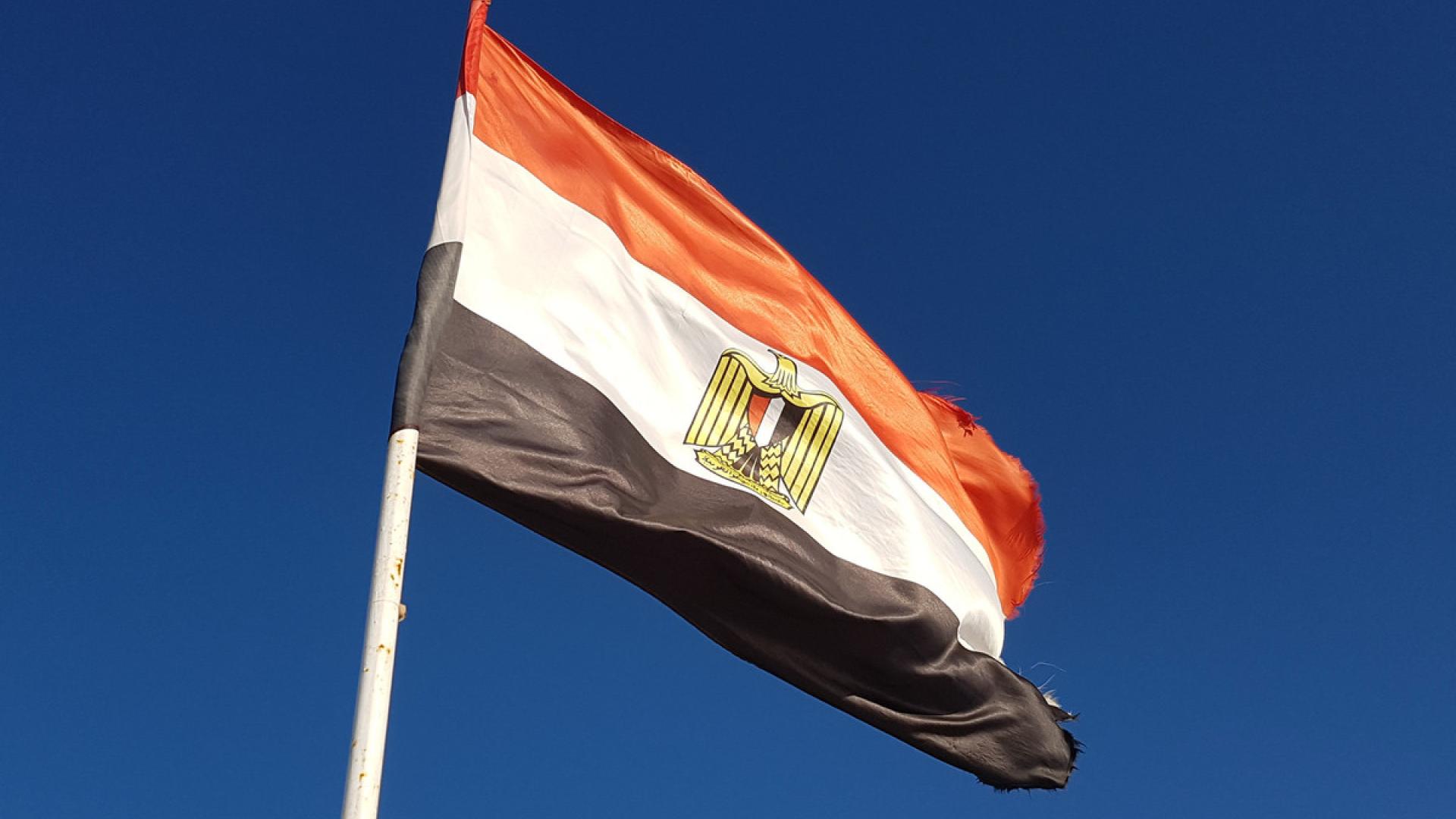 #FreeThemAll: Solafa Magdy