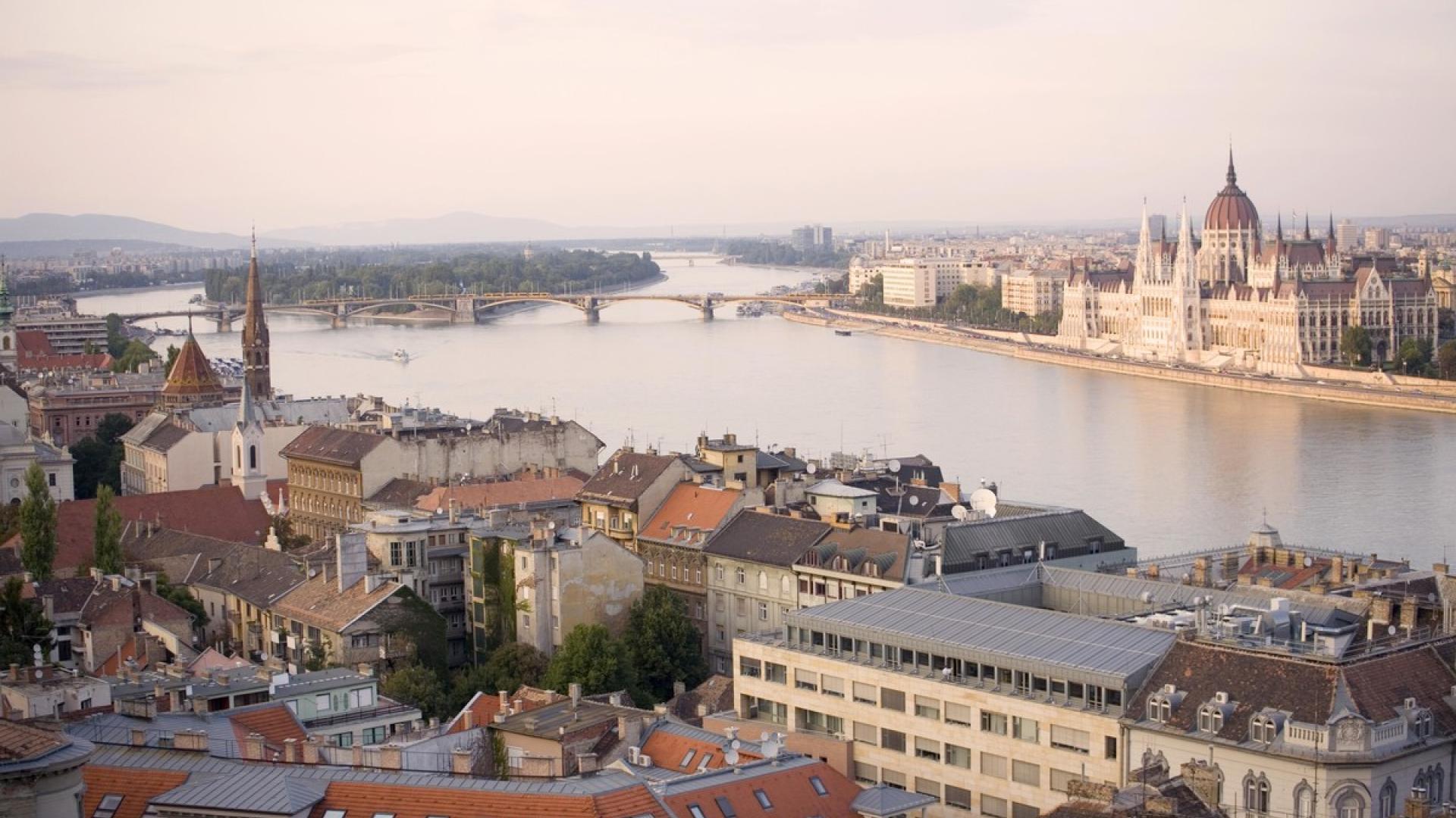 #FreeThemAll: András Dezső