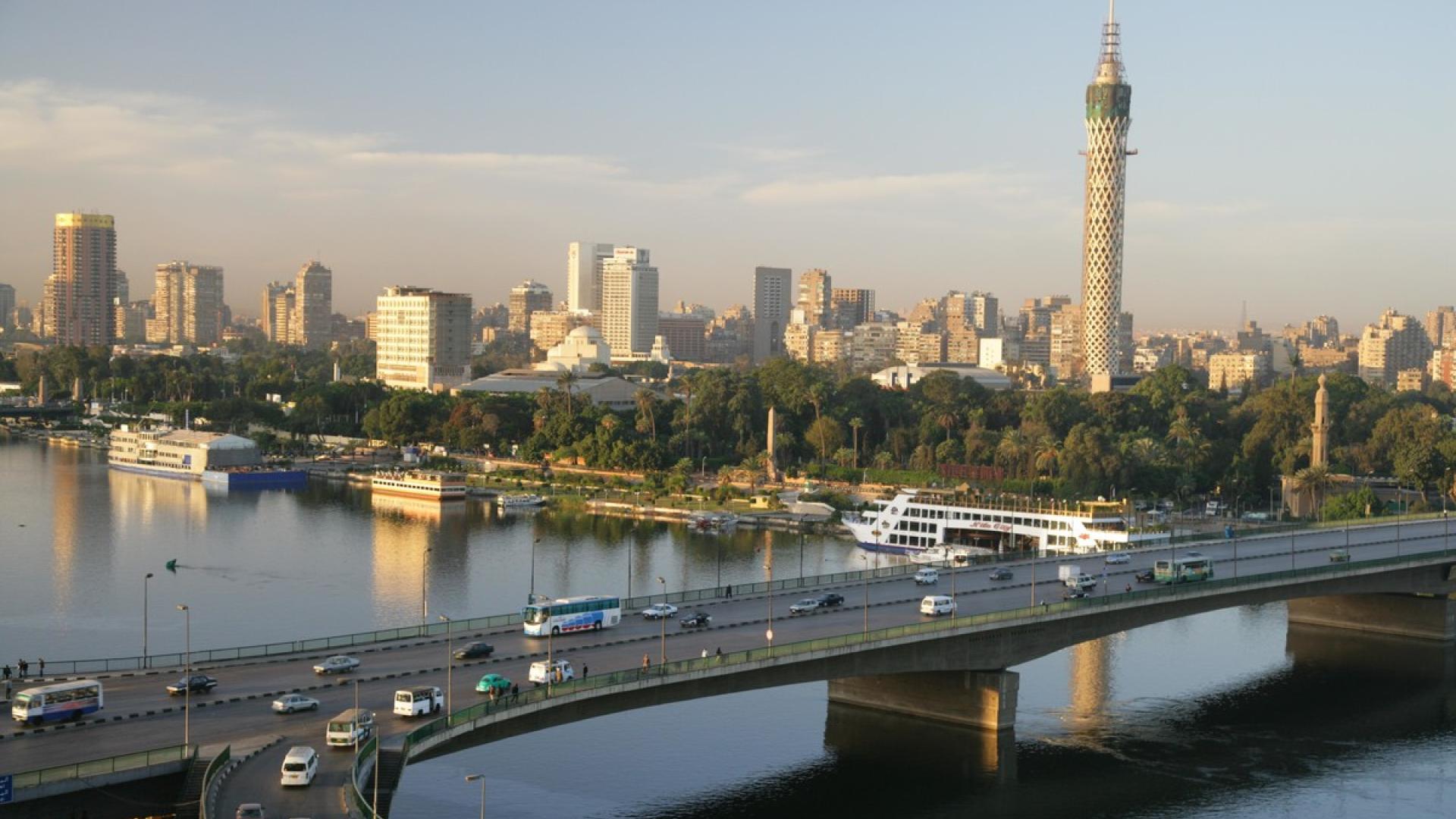 #FreeThemAll: Solafa Magdy