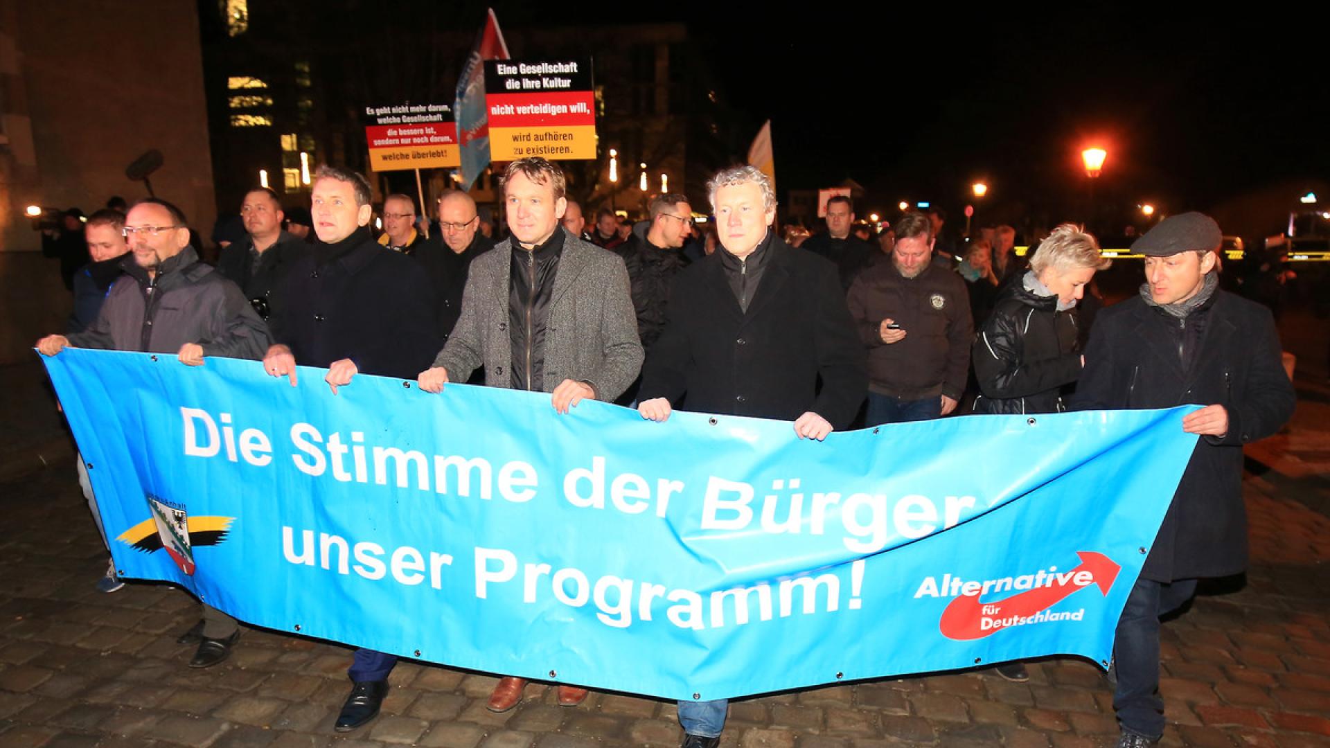 Journalisten bei AfD-Demonstration angegriffen