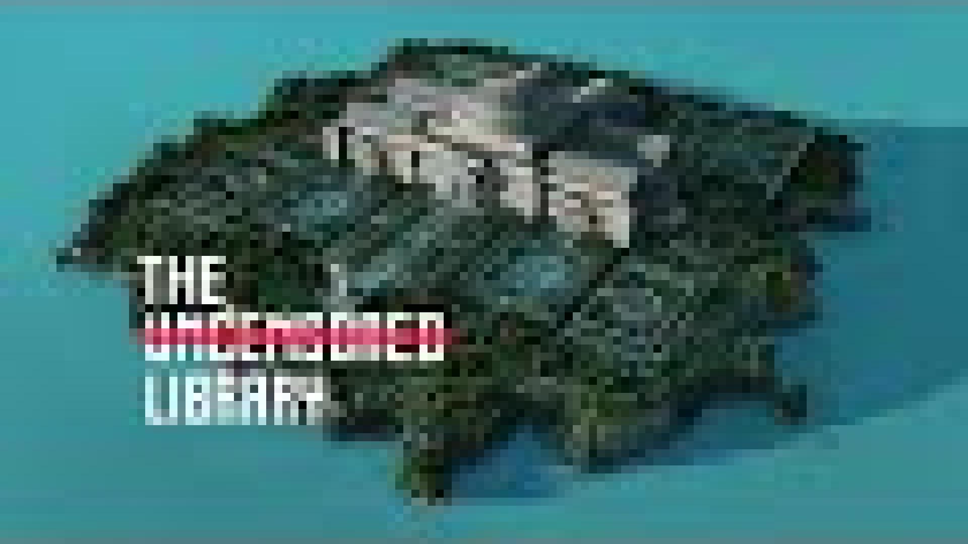 The Uncensored Library Extended | Online Opening Event | Reporters Without Borders