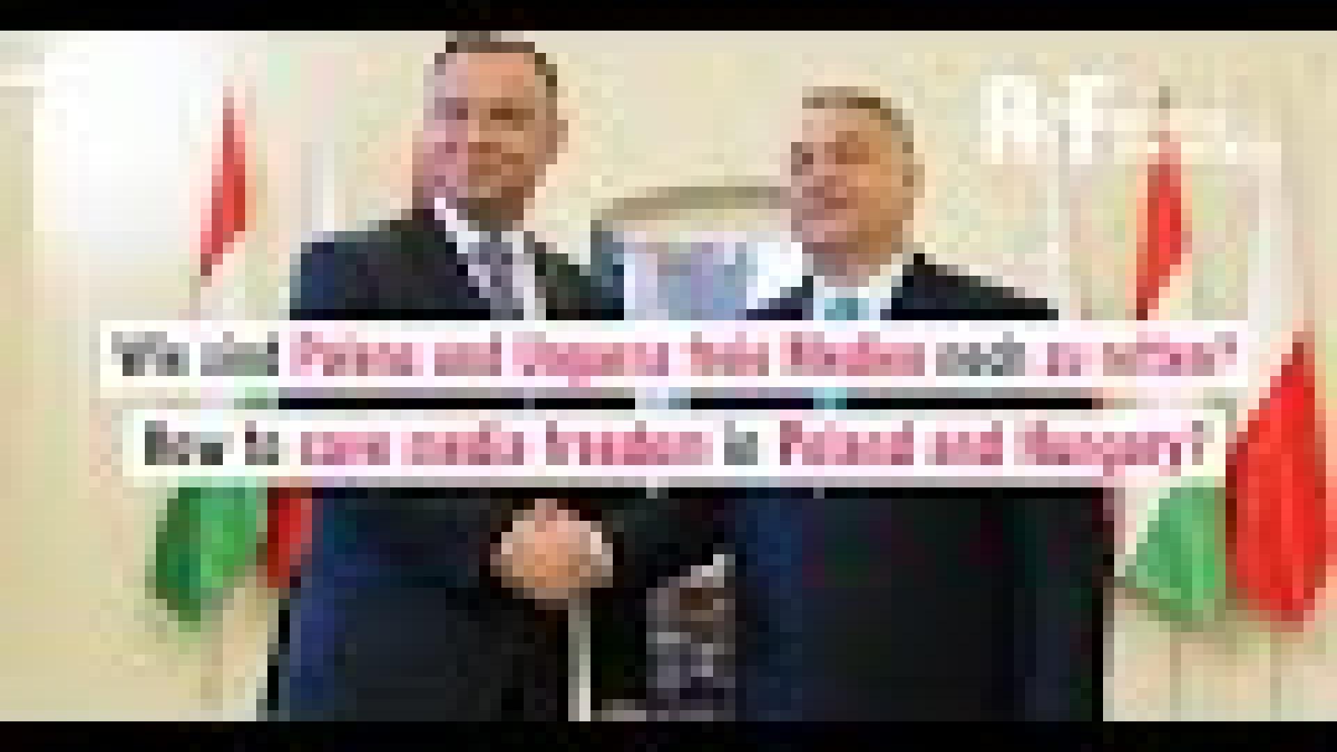 Online-Paneldiskussion: Wie Polens und Ungarns freie Medien retten? | Reporter ohne Grenzen