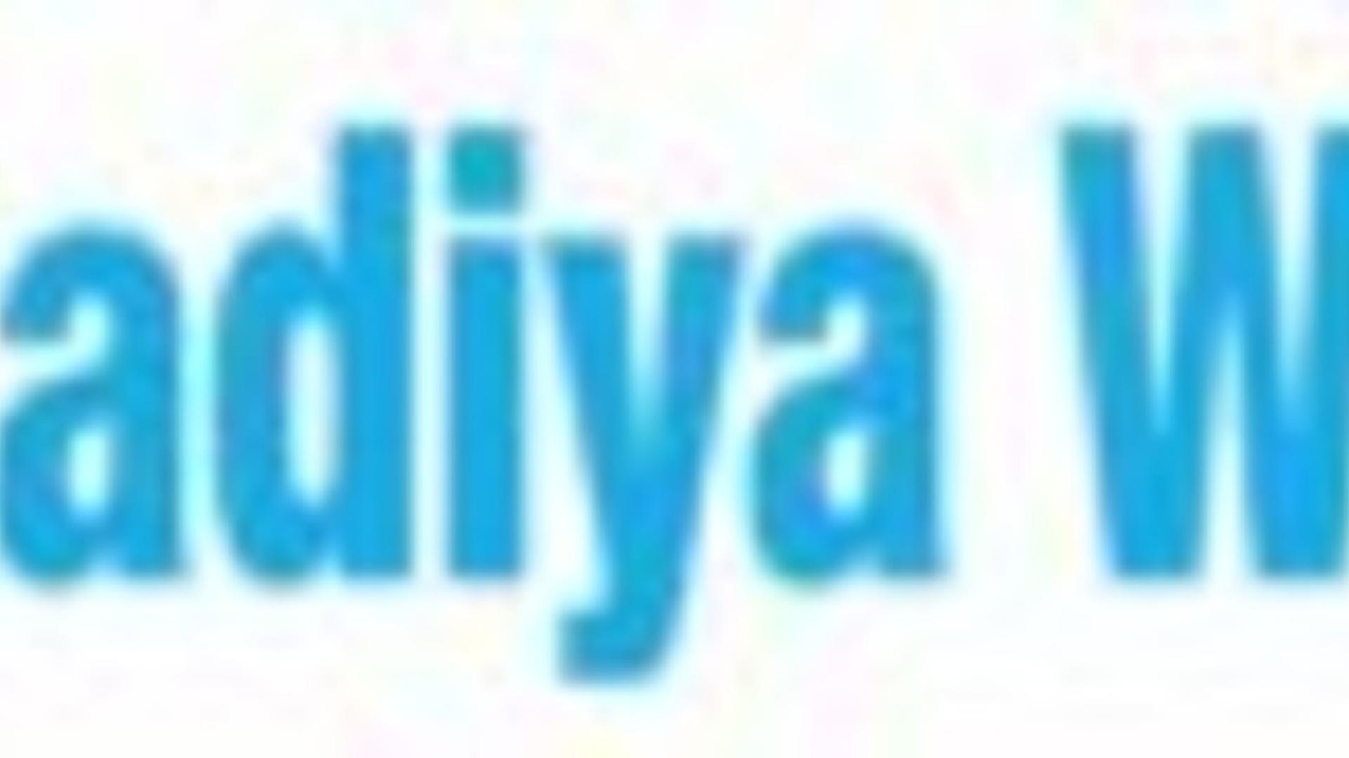 Kurdischer Journalist zu 166 Jahren Haft verurteilt