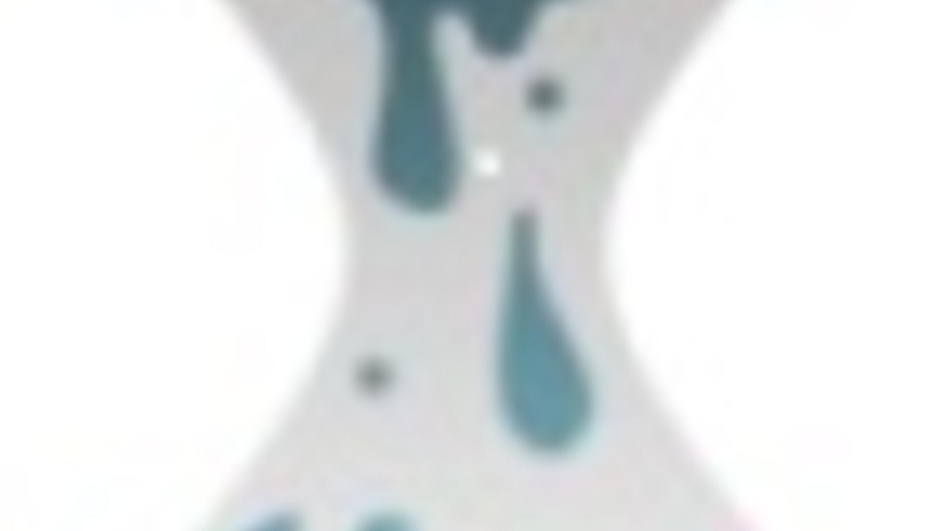 ROG spiegelt WikiLeaks-Seiten