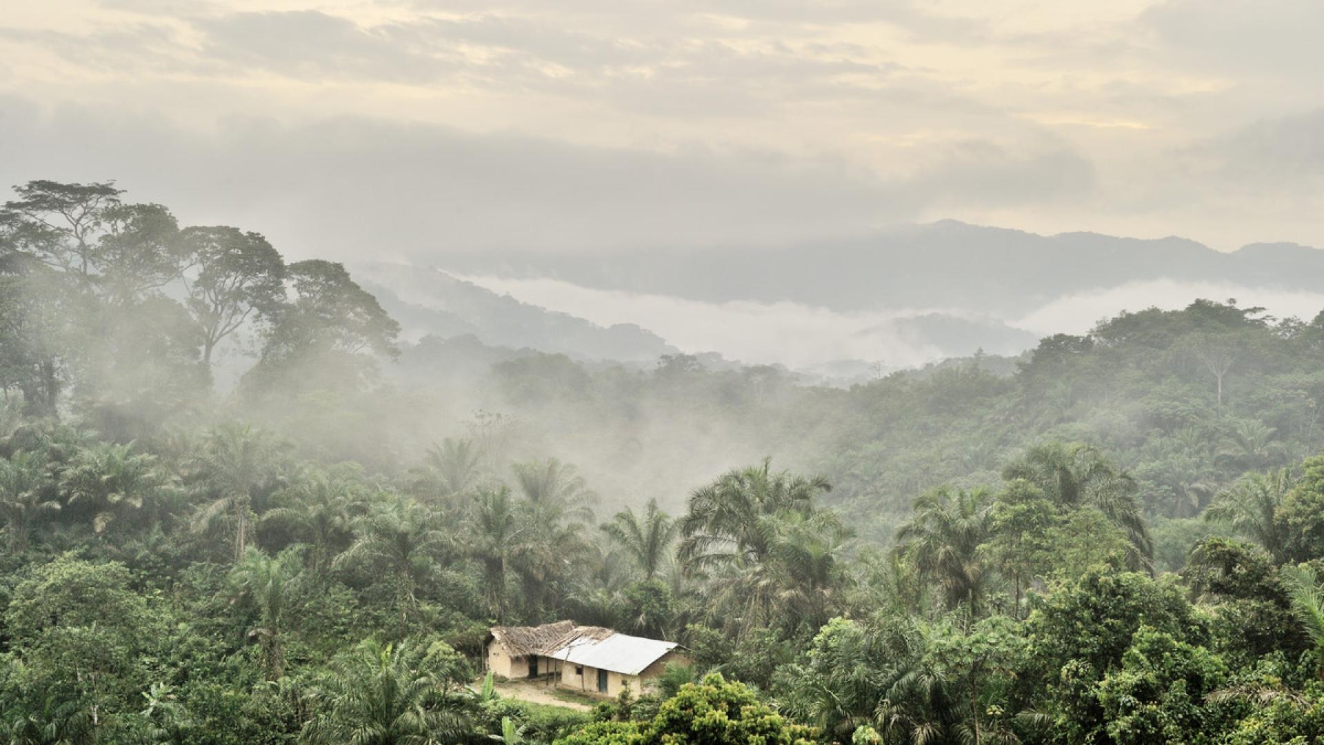 #FreeThemAll: Daniel Michombero