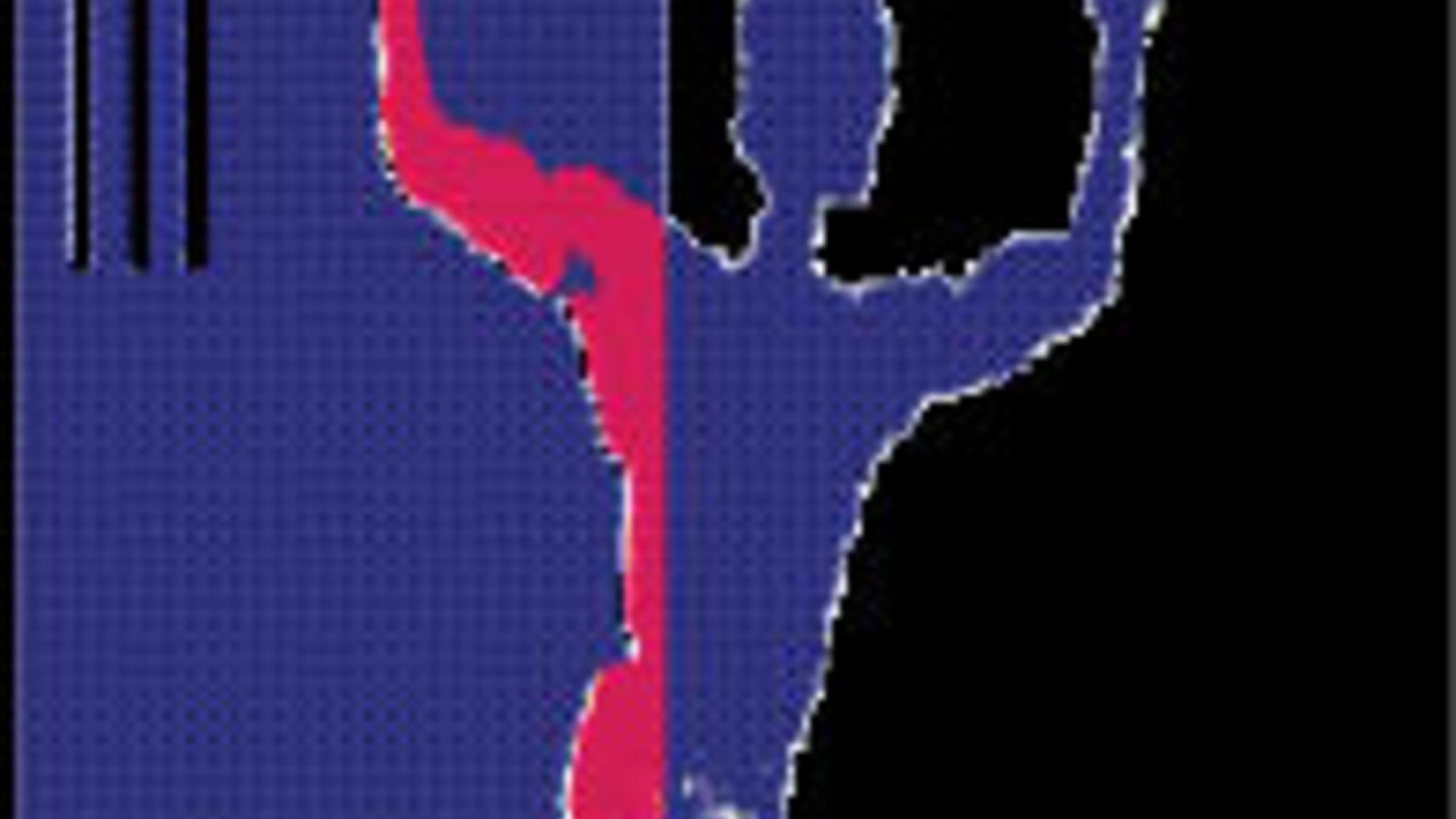 Menschenrechtsschutz in Osteuropa