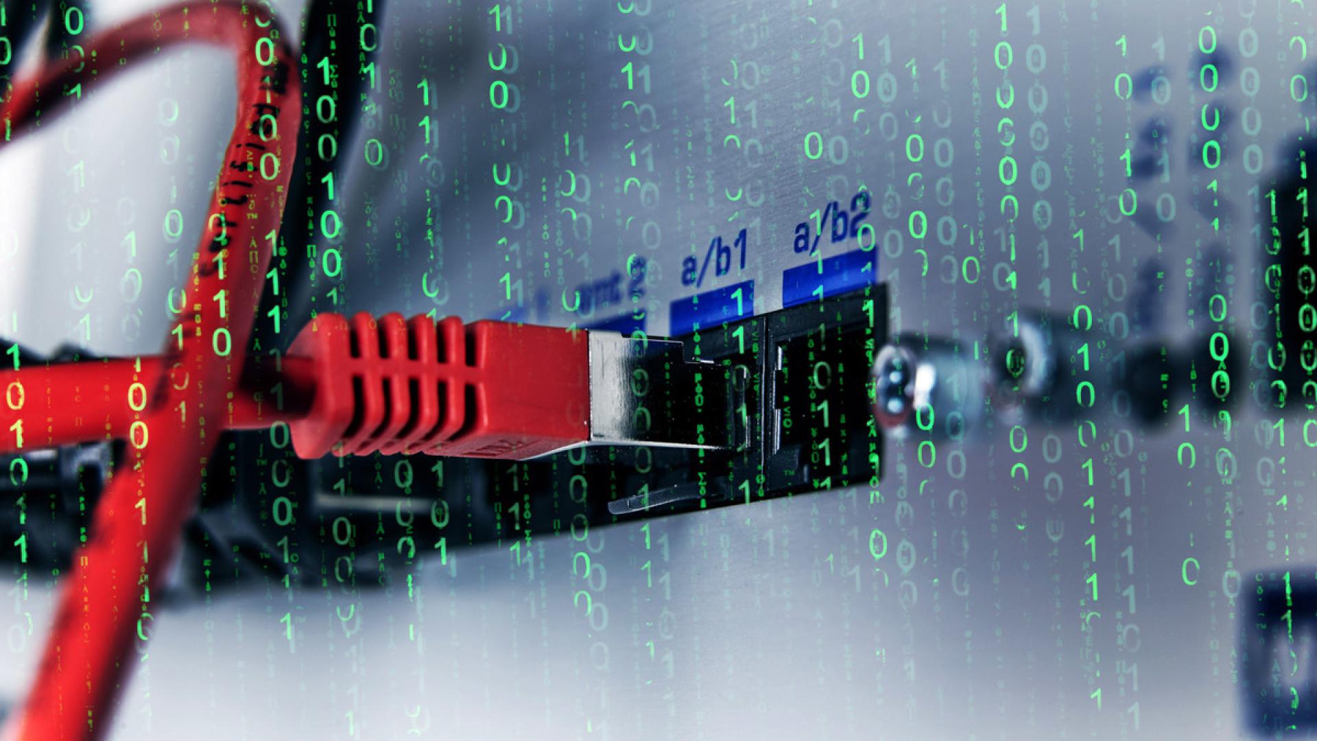 Solidarität mit Netzaktivisten