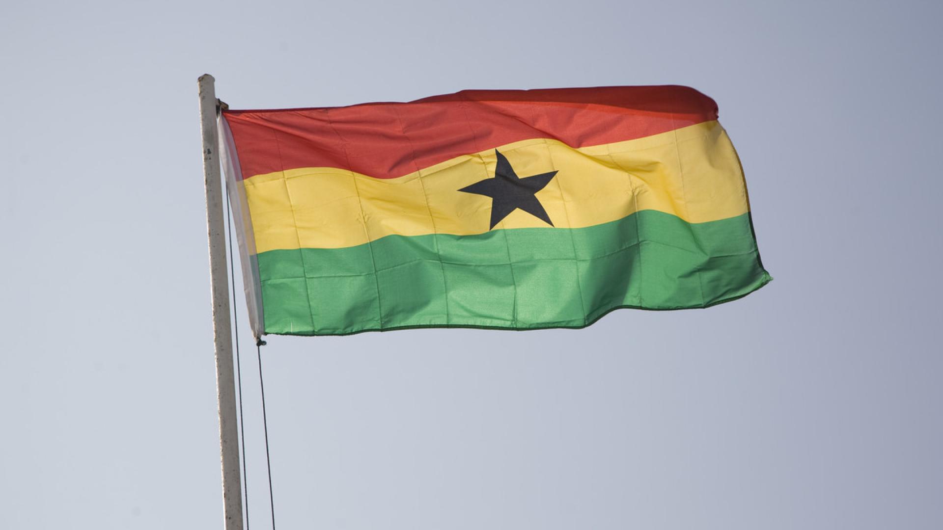 #FreeThemAll: Bestway Zottor