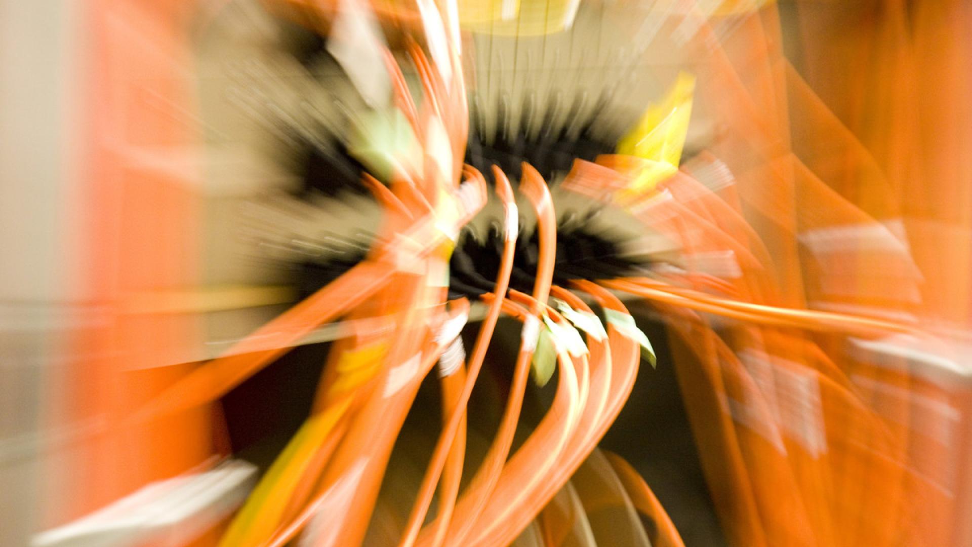 Ächtung von Überwachungsexporten vorantreiben