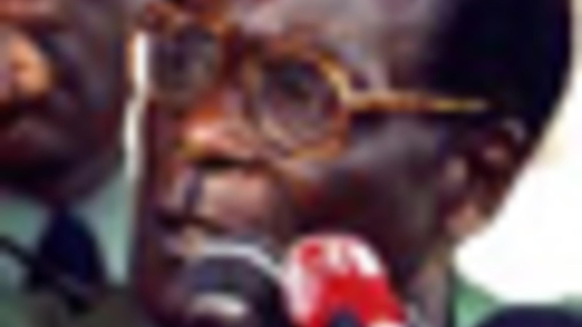 Afrikanische Union muss Pressefreiheit von Mugabe einfordern / Zahlreiche Journalisten verhaftet