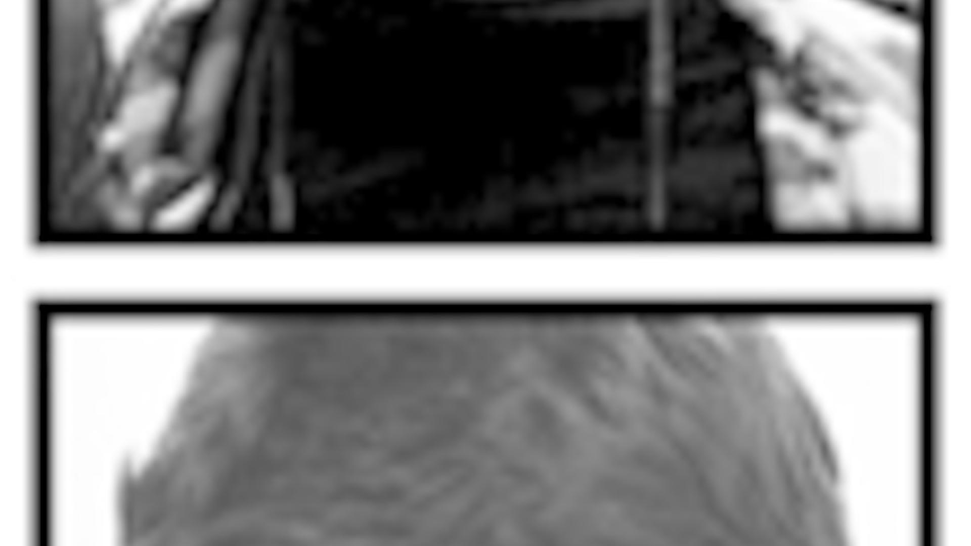 Doppelmord an Anwalt und Journalistin: Klima der Straflosigkeit in Russland