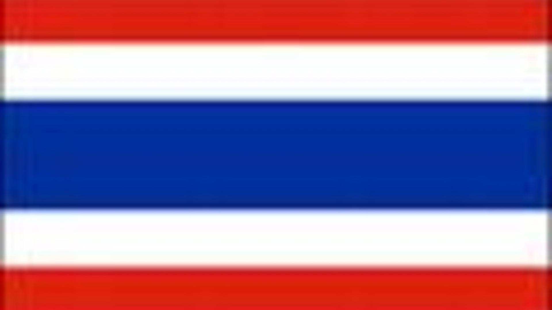 Gefängnisstrafen und Zensur wegen „Majestätsbeleidigung“