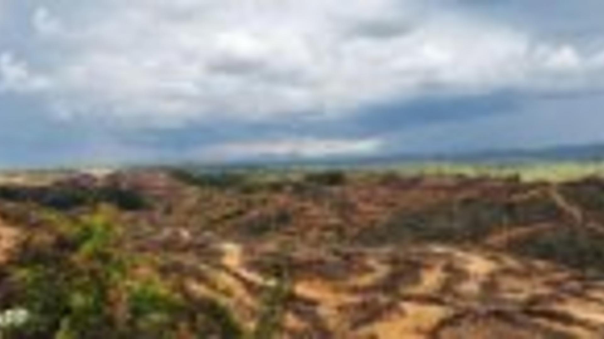 ROG kritisiert Festnahme von zwei Umweltjournalisten