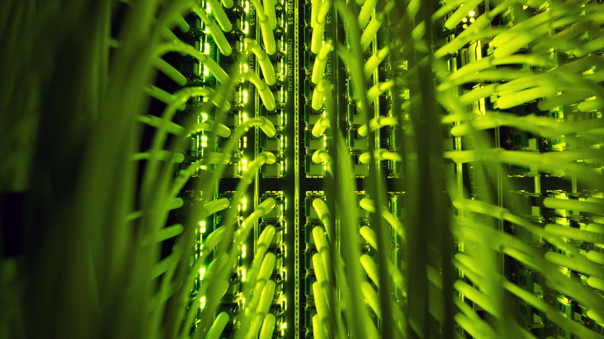 171129_Glasfaser_dpa