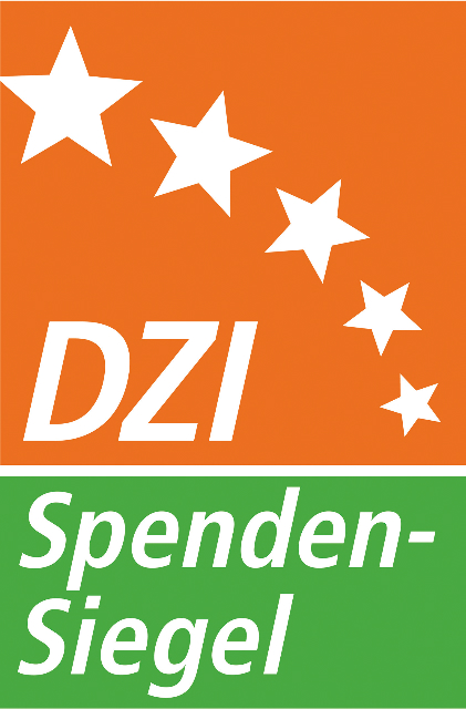 Das Logo des DZI