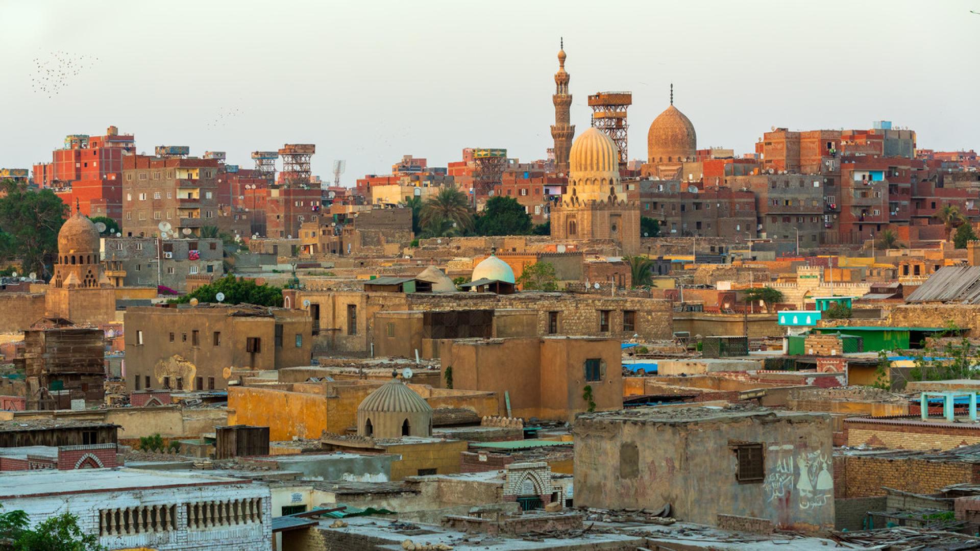 #FreeThemAll: Solafa Magdy