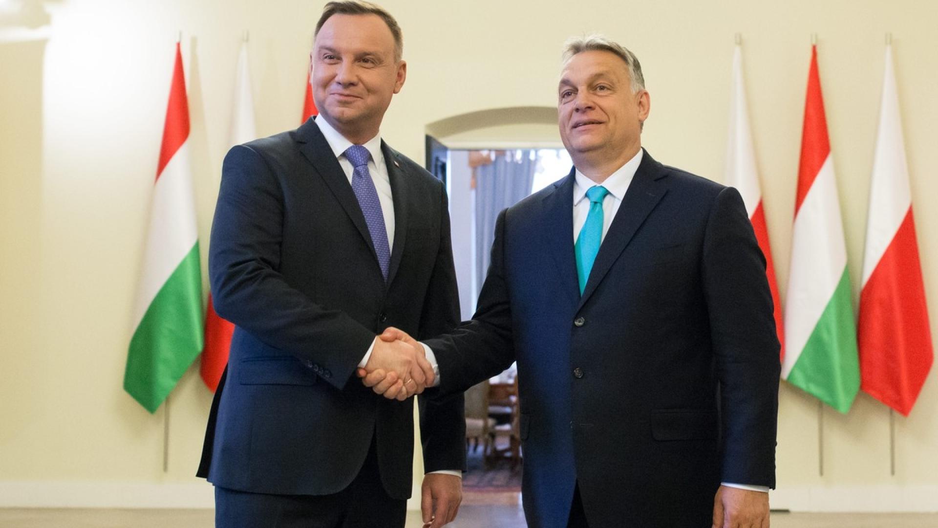 How to save media freedom in Poland and Hungary?