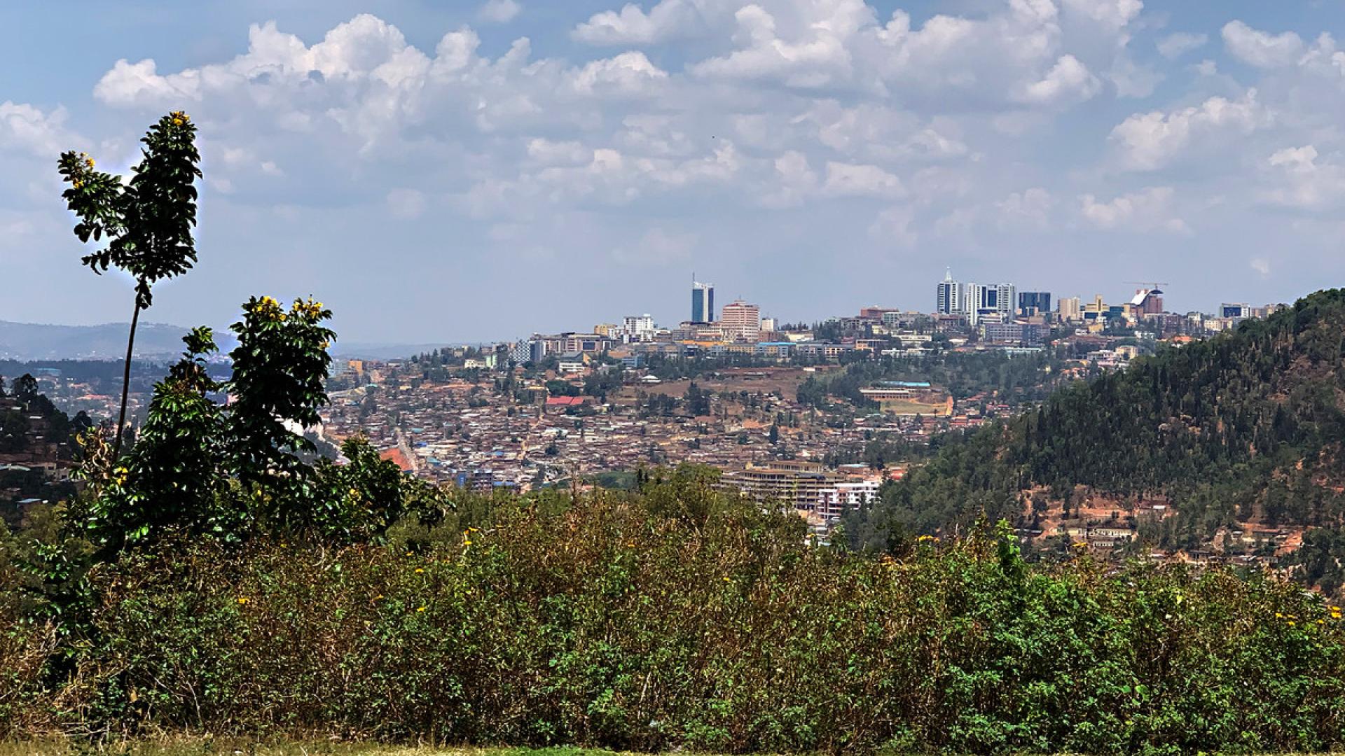 #FreethemAll: Dieudonné Niyonsenga