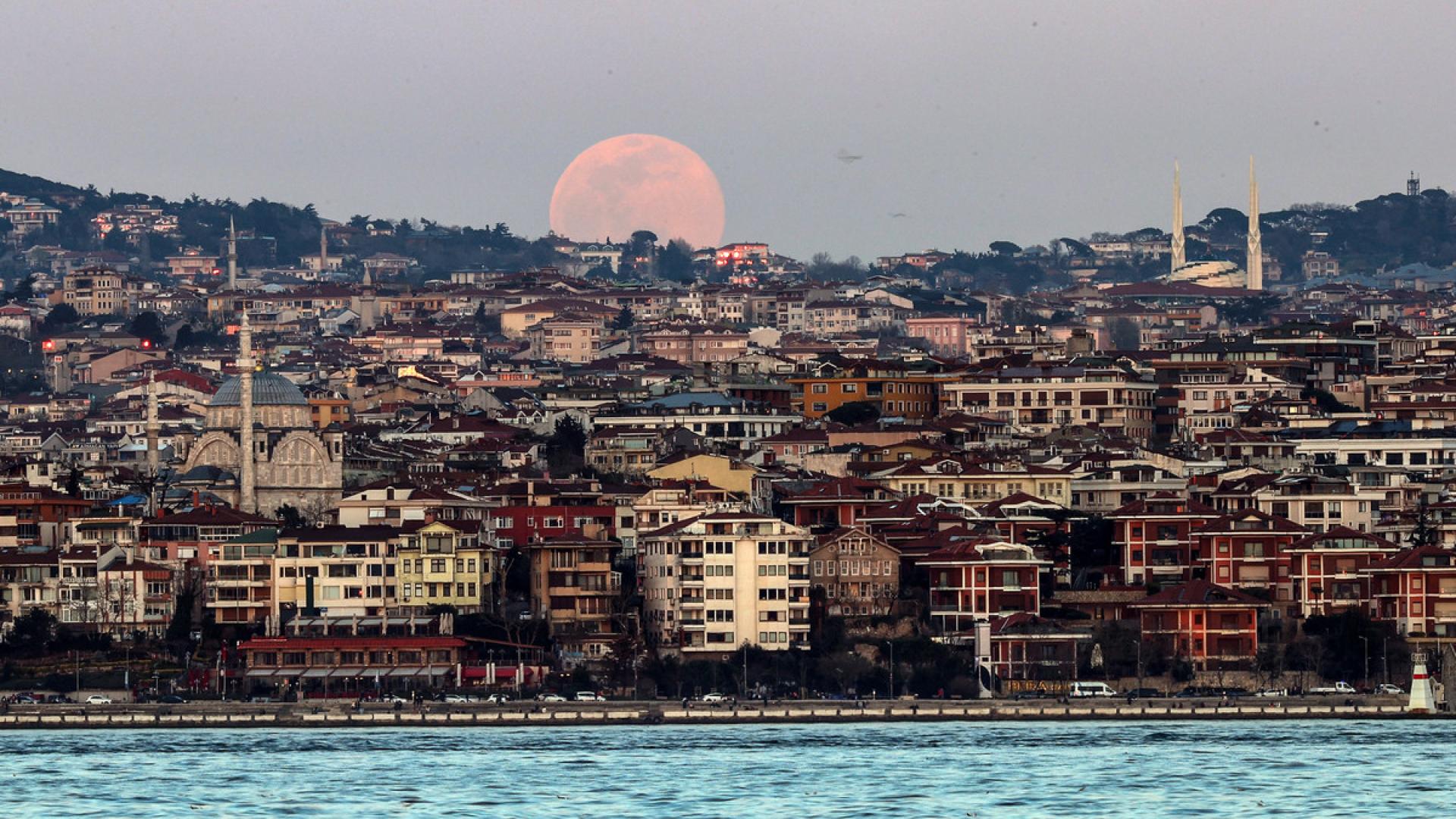 #FreeThemAll: Sylvain Mercadier