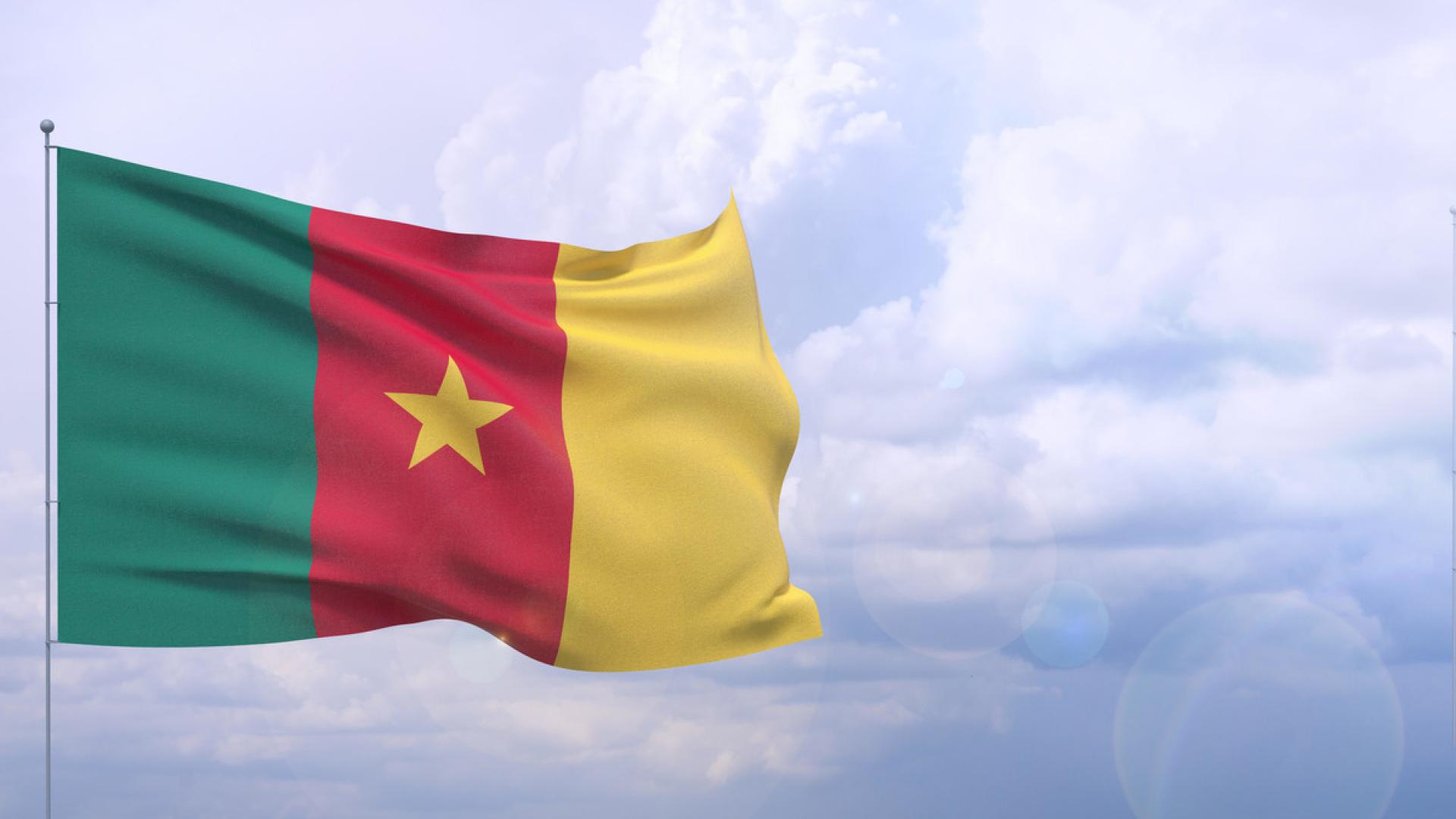 #FreeThemAll: Amadou Vamoulké