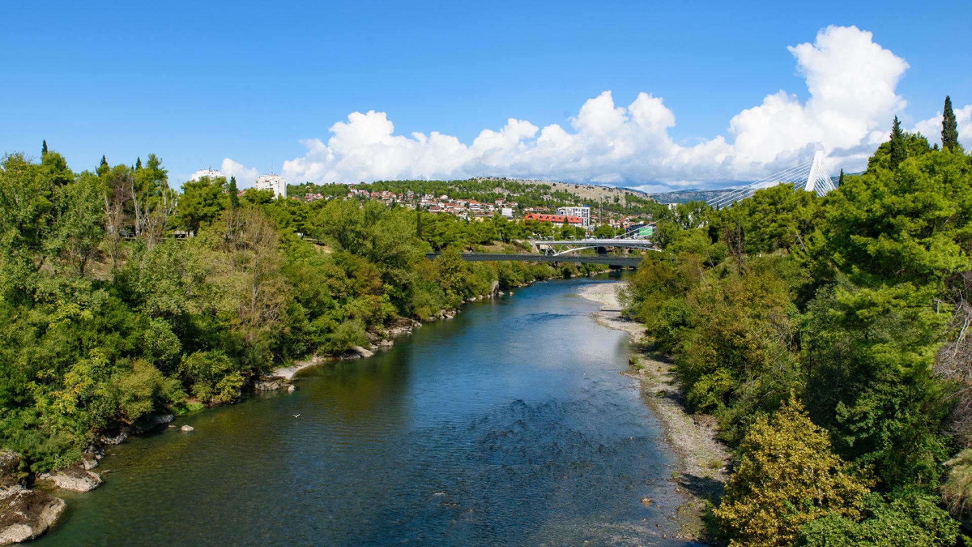 #FreeThemAll: Jovo Martinovic