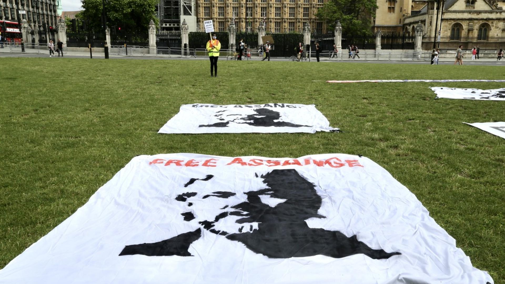 Berufung in Assange-Verfahren zugelassen