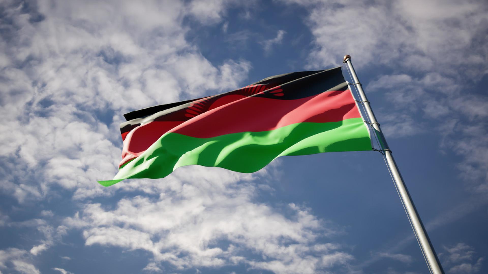 #FreeThemAll: Oliver Malibisa