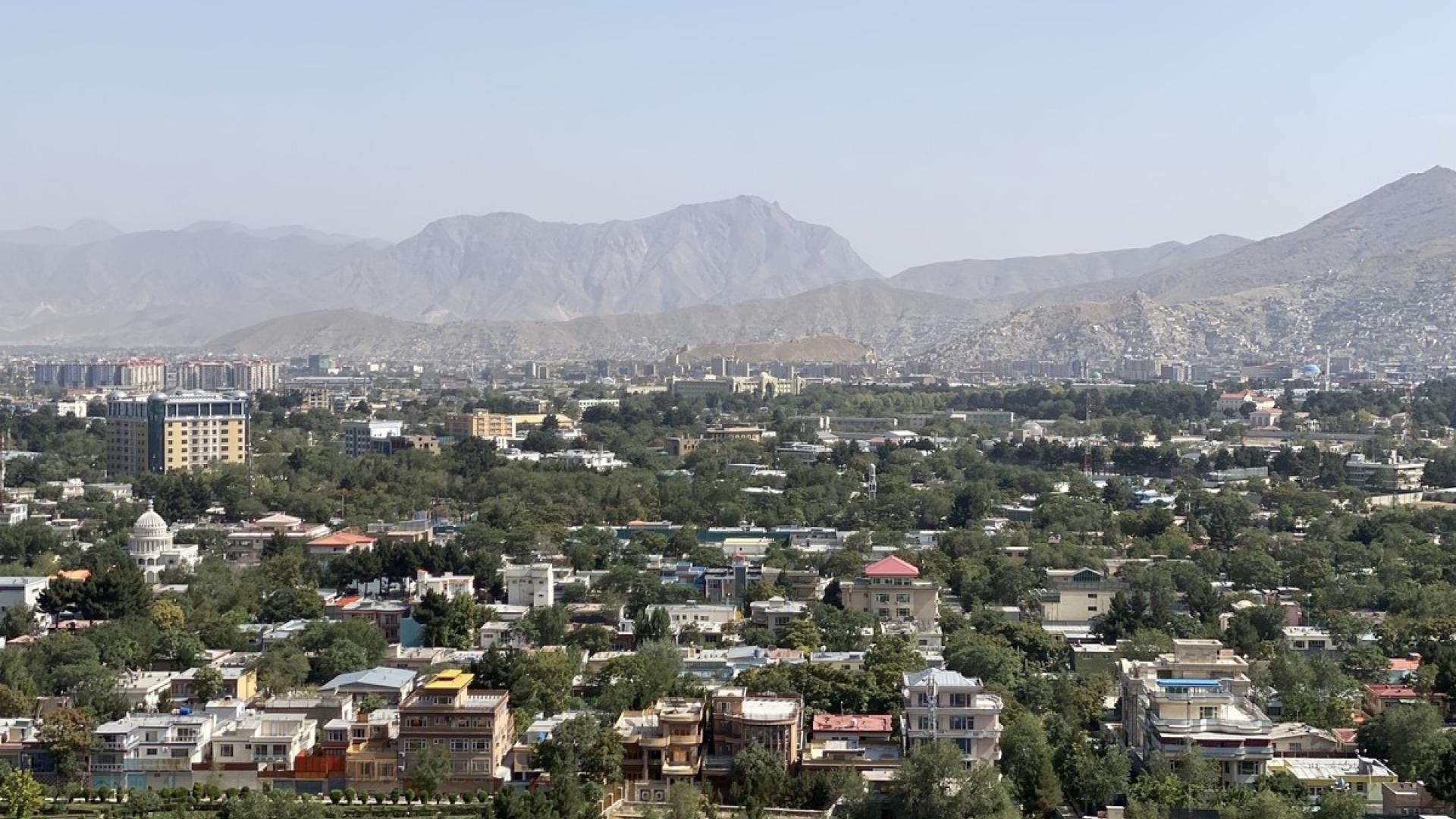 #FreeThemAll: Quadrat Soltani